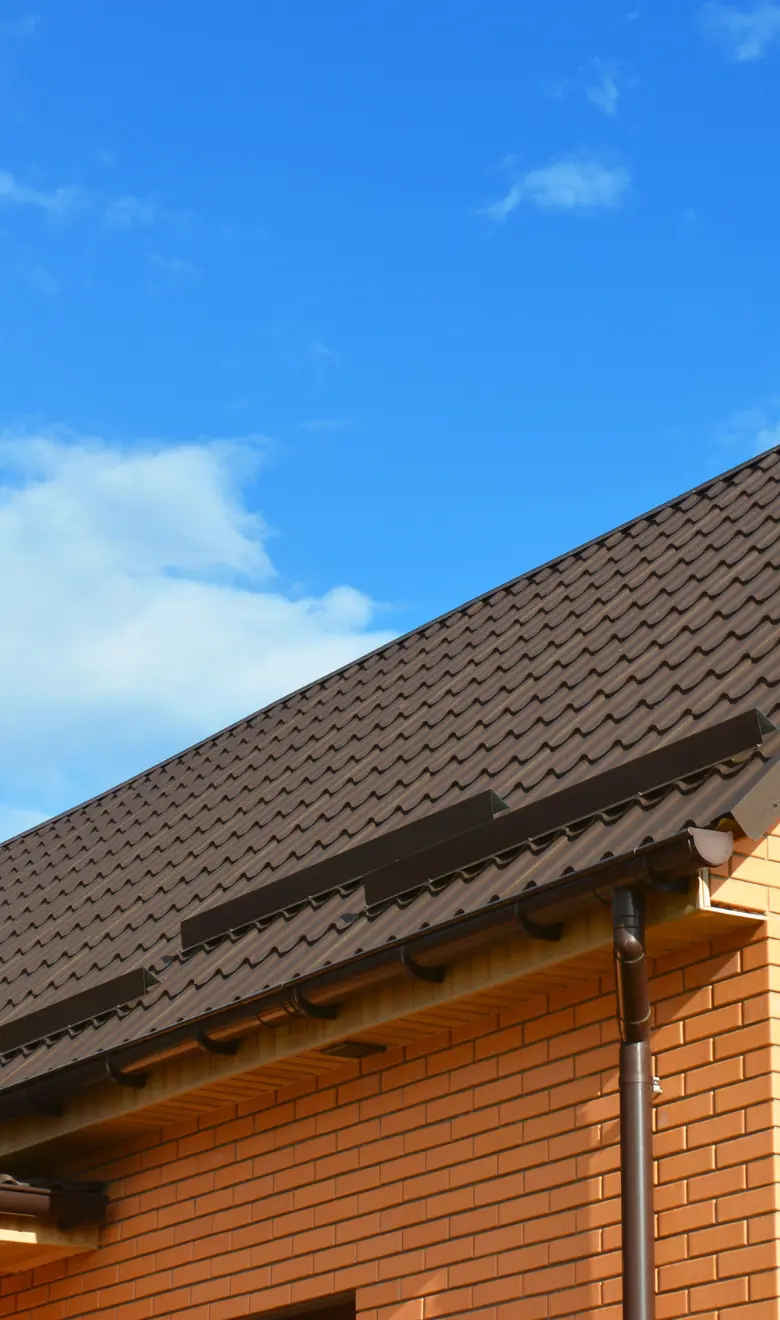 MONTAJ PARAZAPEZI PROFESIONAL